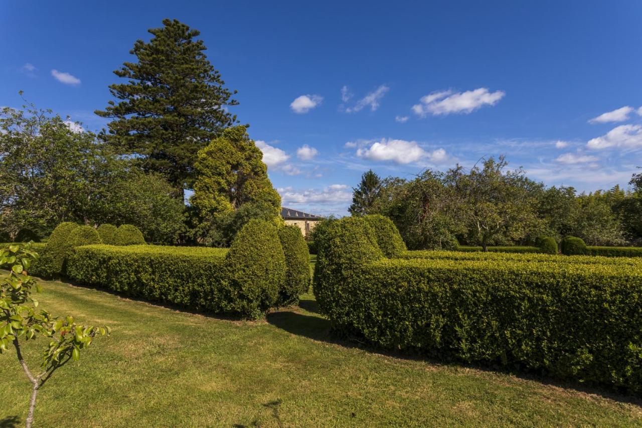 Gasthaus Araucaria House Barreiros Exterior foto