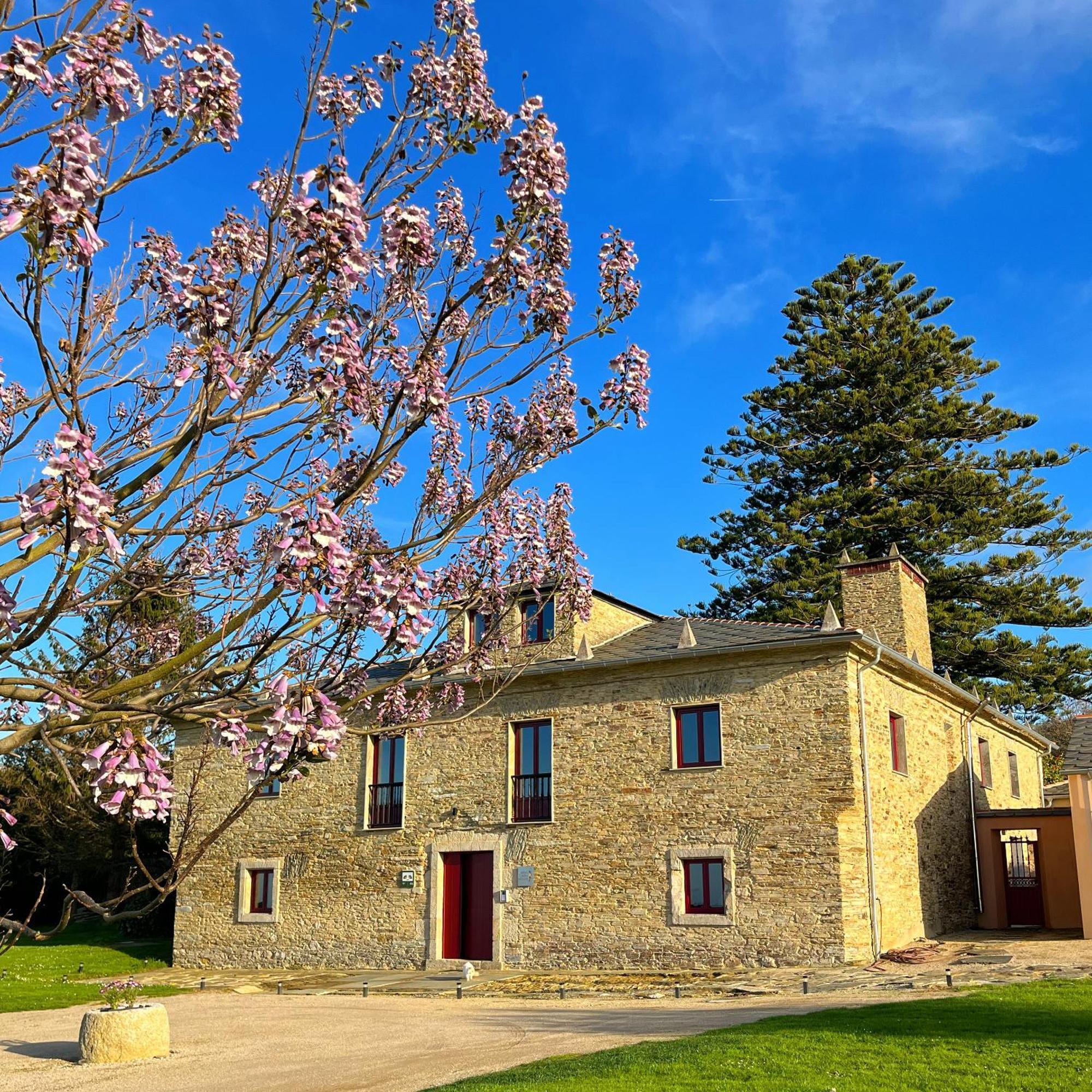 Gasthaus Araucaria House Barreiros Exterior foto